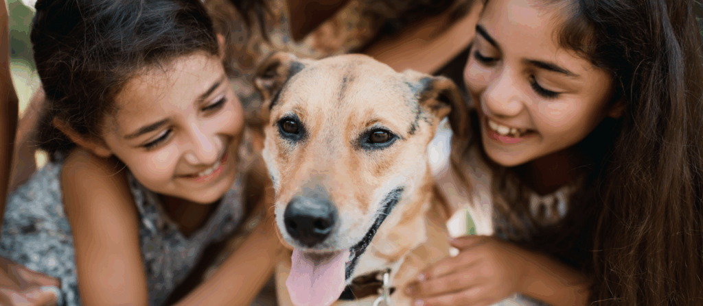 Visita dos pets no hospital traz renovação de ânimo aos pacientes oncológicos