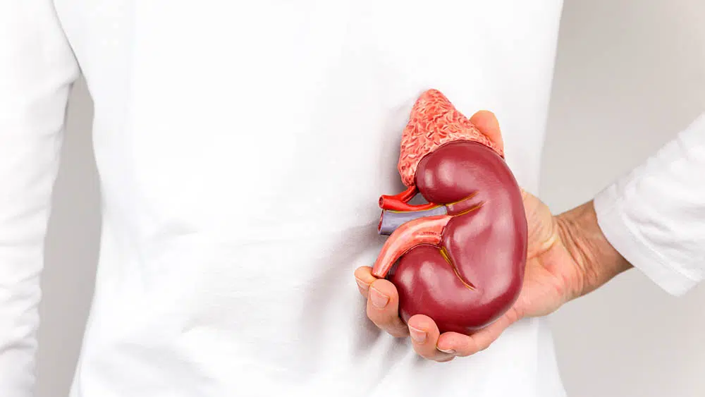 Câncer renal: o desafio de empoderar o paciente para garantir adesão ao tratamento