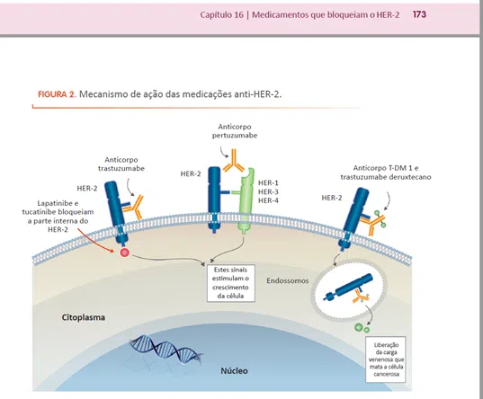 Recaída do câncer de mama